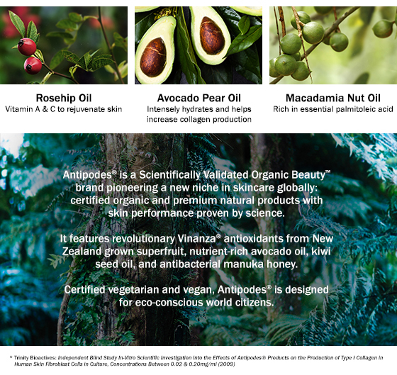 Buy Antipodes Avocado & Rosehip Divine Face Oil 30ml Online at Chemist